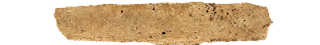 yang yang
